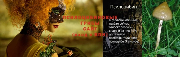 соль ск Аркадак